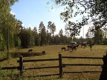 Фото номера Дом для отпуска Дома для отпуска Holiday Home Viinakorpi г. Somerniemi 7